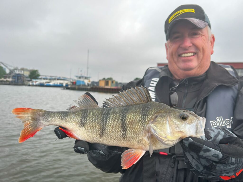 Guy Wann with a perch cought in the canals Amsterdam