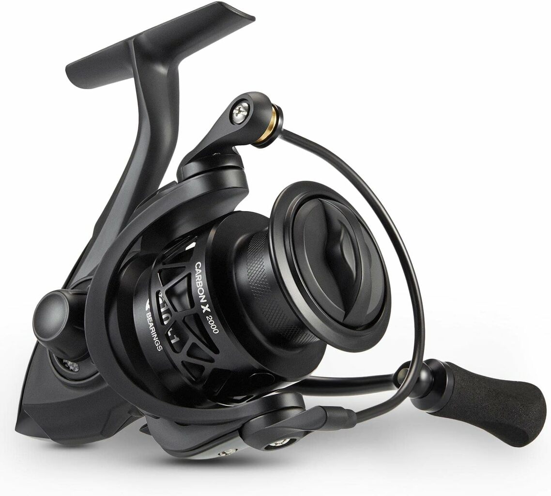 Piscifun Carbon X Spinning Reels Review